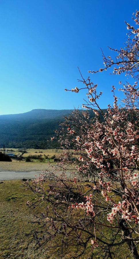 Auberge Collective Cozy&Family La Palud-sur-Verdon Екстер'єр фото